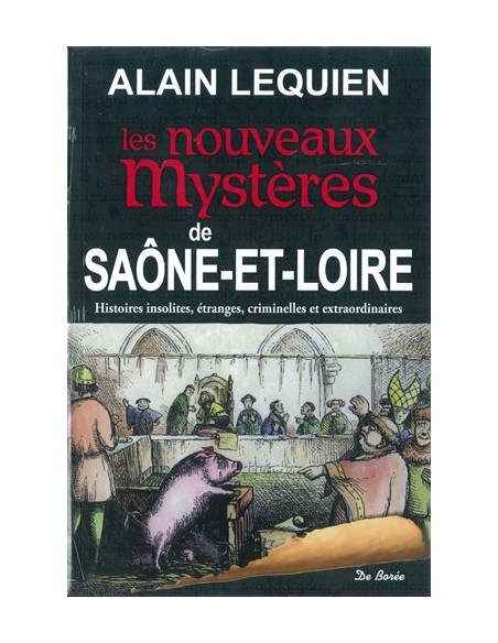 LES NOUVEAUX MYSTERES DE SAONE ET LOIRE