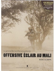 OFFENSIVE ÉCLAIR AU MALI - CEUX DE LA BRIGADE SERVAL RACONTENT