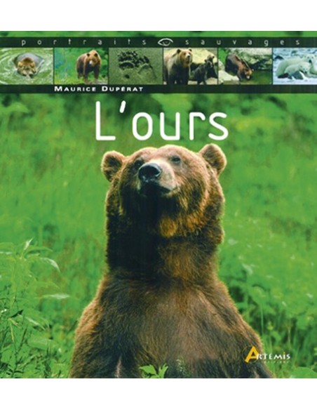 L'OURS