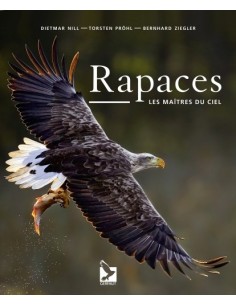 RAPACES - LES MAÎTRES DU CIEL