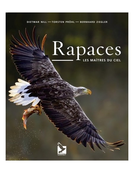 RAPACES - LES MAÎTRES DU CIEL