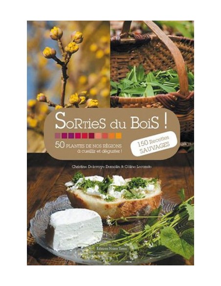 SORTIES DU BOIS - 50 PLANTES DE NOS RÉGIONS À CUEILLIR ET DÉGUSTER !