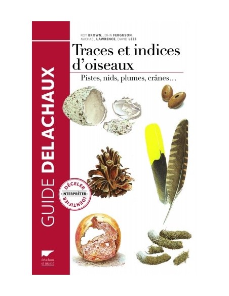 TRACES ET INDICES D'OISEAUX