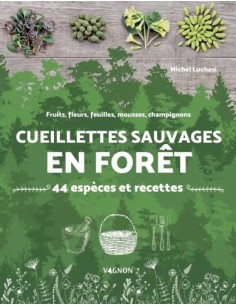 Se nourrir en mode survie : fabriquer ses ustensiles, maîtriser le feu,  cuisiner : Denis Tribaudeau,Rémi Vollot - Récits de Voyages